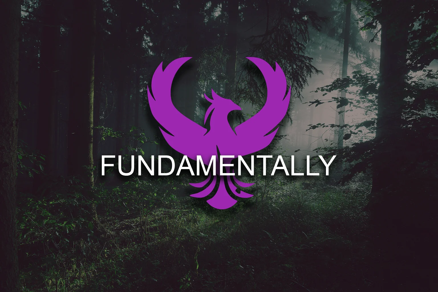 Fundamentally changing the investment landscape